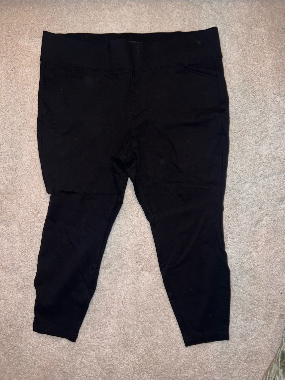 torrid Studio Ponte Pant
